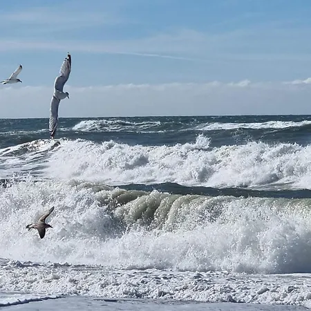 8 Person In Harboore-by Traum